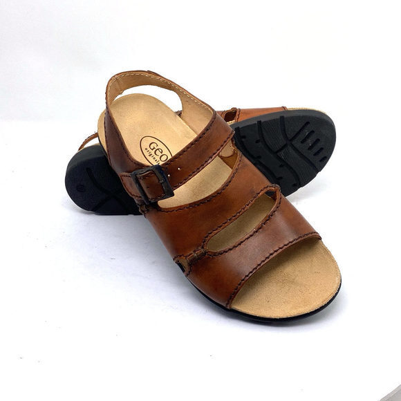 Zeus‎ - Picture 3 of 3